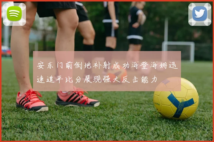 安东门前倒地补射成功海登海姆迅速追平比分展现强大反击能力