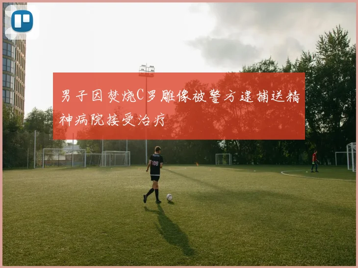 男子因焚烧C罗雕像被警方逮捕送精神病院接受治疗